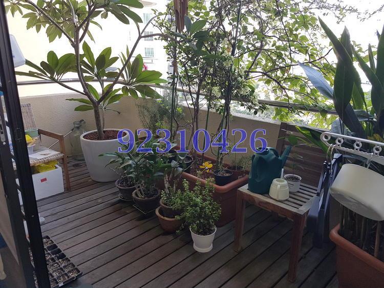 Allsworth Park (D10), Condominium #143500362